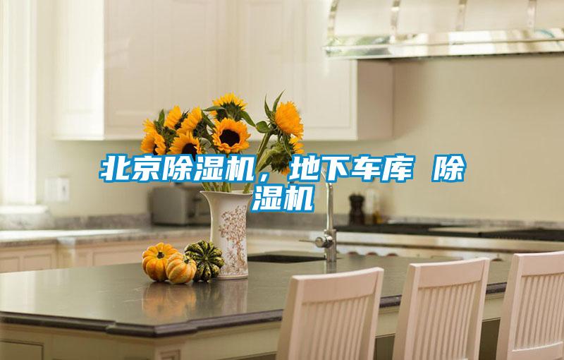 北京除濕機(jī)，地下車(chē)庫(kù) 除濕機(jī)