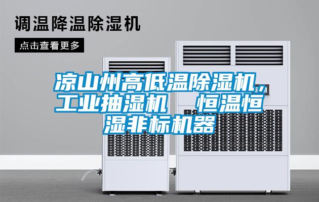 涼山州高低溫除濕機，工業(yè)抽濕機  恒溫恒濕非標機器