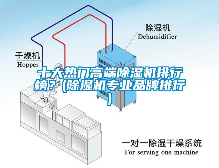 十大熱門(mén)高端除濕機(jī)排行榜？(除濕機(jī)專業(yè)品牌排行)