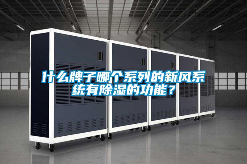 什么牌子哪個系列的新風系統(tǒng)有除濕的功能？