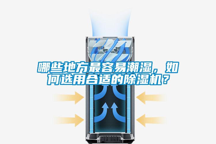 哪些地方最容易潮濕，如何選用合適的除濕機？
