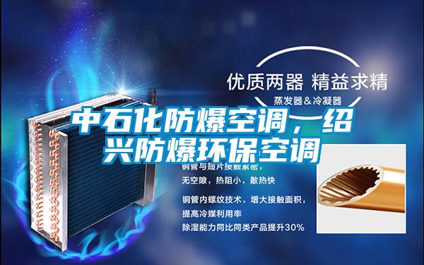 中石化防爆空調(diào)，紹興防爆環(huán)?？照{(diào)