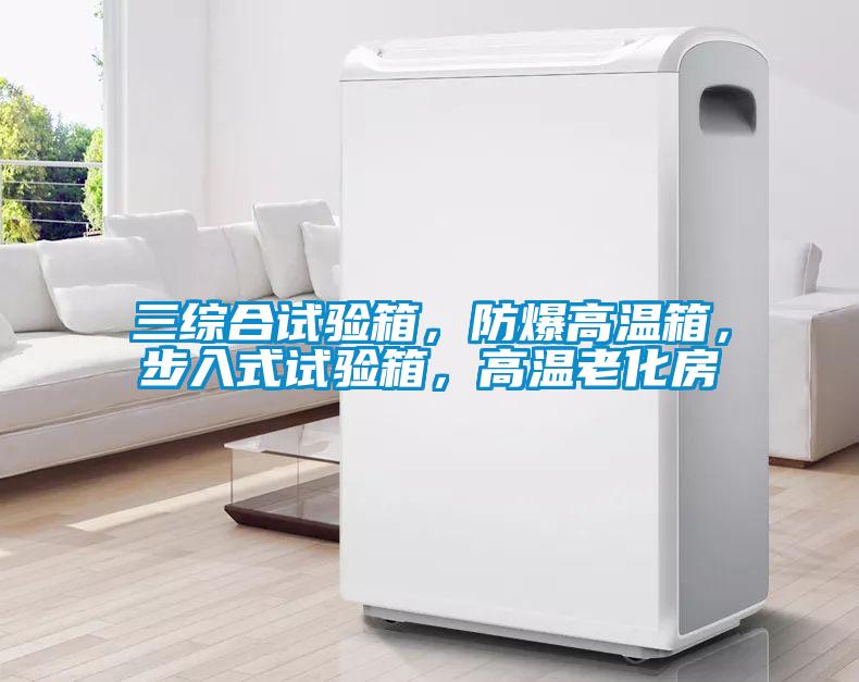 三綜合試驗(yàn)箱，防爆高溫箱，步入式試驗(yàn)箱，高溫老化房