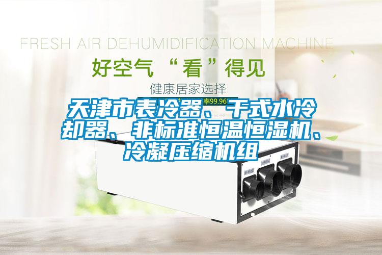 天津市表冷器、干式水冷卻器、非標(biāo)準(zhǔn)恒溫恒濕機(jī)、冷凝壓縮機(jī)組