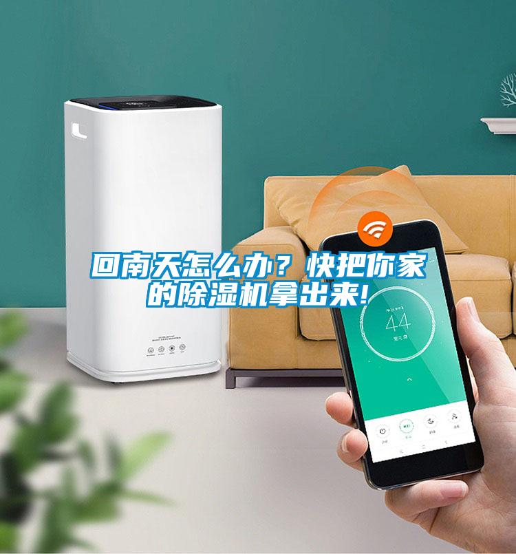 回南天怎么辦？快把你家的除濕機(jī)拿出來!