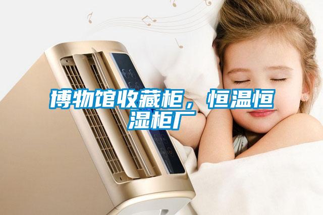 博物館收藏柜，恒溫恒濕柜廠