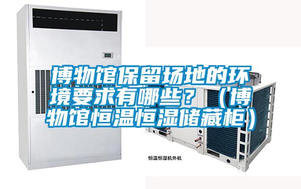 博物館保留場地的環(huán)境要求有哪些？（博物館恒溫恒濕儲藏柜）