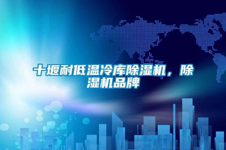 十堰耐低溫冷庫除濕機，除濕機品牌