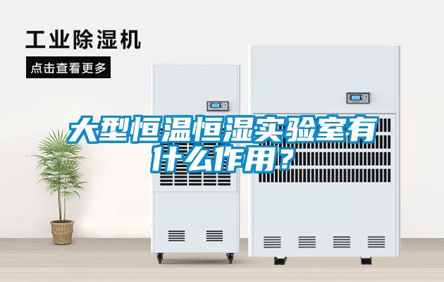 大型恒溫恒濕實(shí)驗(yàn)室有什么作用？