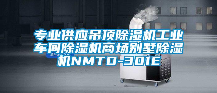 專業(yè)供應(yīng)吊頂除濕機工業(yè)車間除濕機商場別墅除濕機NMTD-301E
