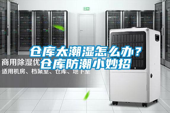 倉(cāng)庫(kù)太潮濕怎么辦？倉(cāng)庫(kù)防潮小妙招