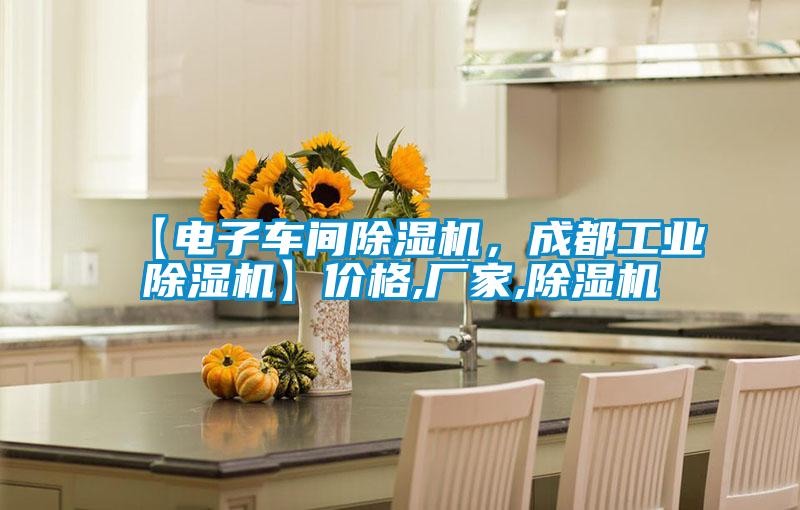 【電子車間除濕機，成都工業(yè)除濕機】價格,廠家,除濕機