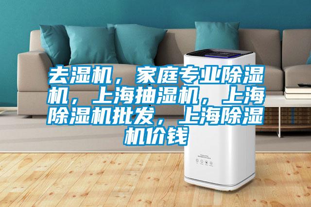 去濕機，家庭專業(yè)除濕機，上海抽濕機，上海除濕機批發(fā)，上海除濕機價錢