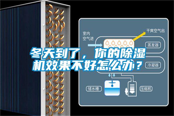 冬天到了，你的除濕機(jī)效果不好怎么辦？
