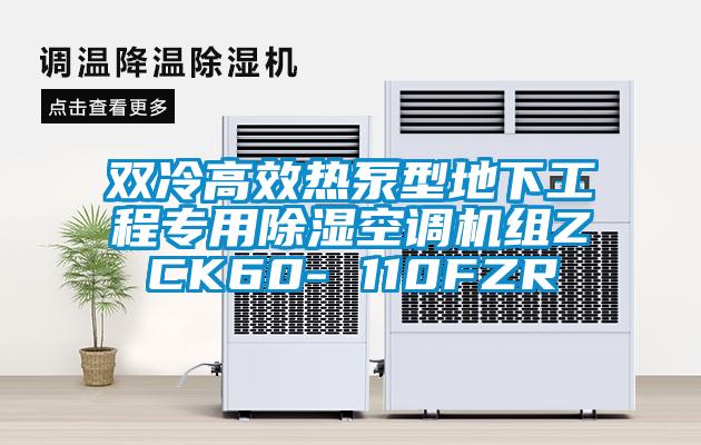 雙冷高效熱泵型地下工程專用除濕空調(diào)機(jī)組ZCK60- 110FZR