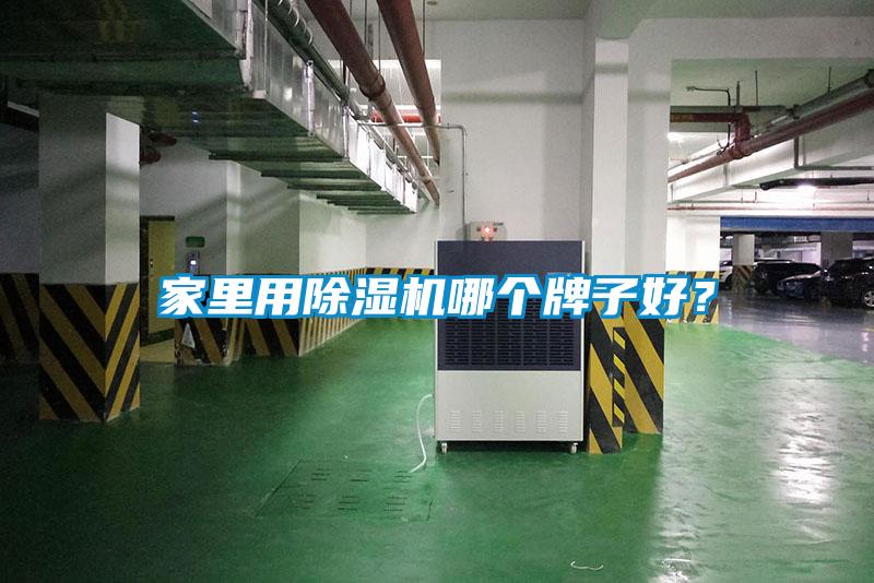 家里用除濕機(jī)哪個(gè)牌子好？