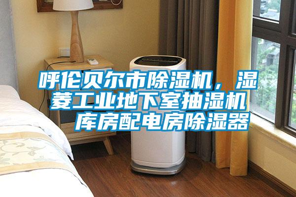 呼倫貝爾市除濕機，濕菱工業(yè)地下室抽濕機  庫房配電房除濕器