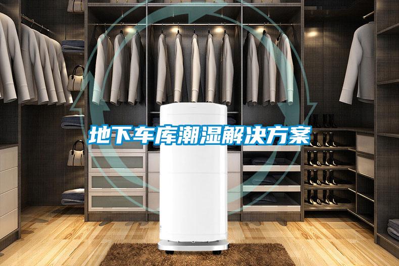 地下車(chē)庫(kù)潮濕解決方案