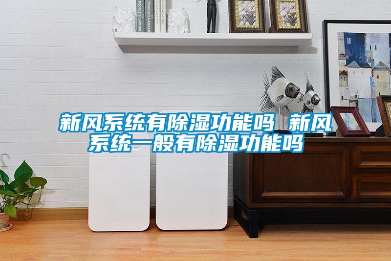 新風系統(tǒng)有除濕功能嗎 新風系統(tǒng)一般有除濕功能嗎