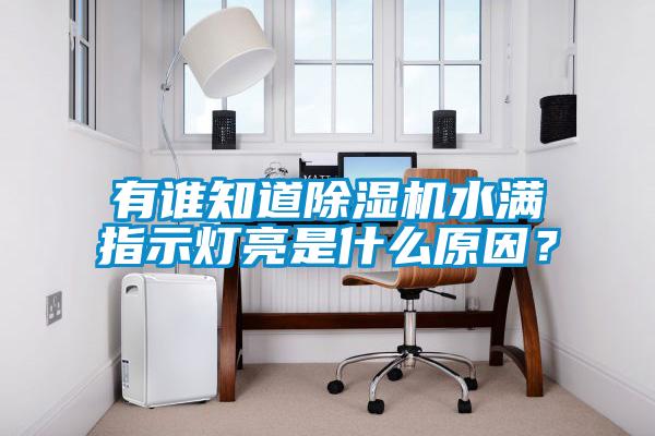 有誰知道除濕機水滿指示燈亮是什么原因？