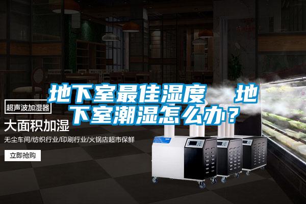 地下室最佳濕度  地下室潮濕怎么辦？