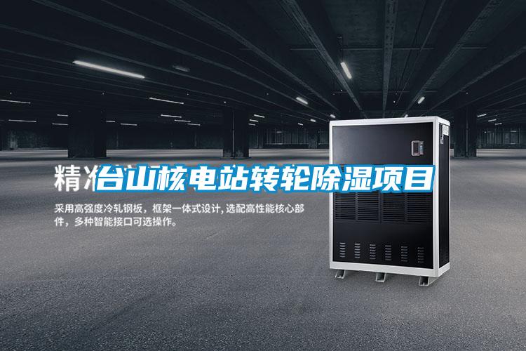 臺山核電站轉(zhuǎn)輪除濕項目