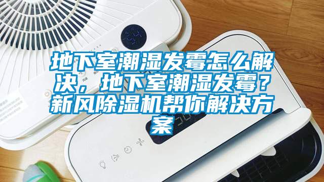 地下室潮濕發(fā)霉怎么解決，地下室潮濕發(fā)霉？新風除濕機幫你解決方案