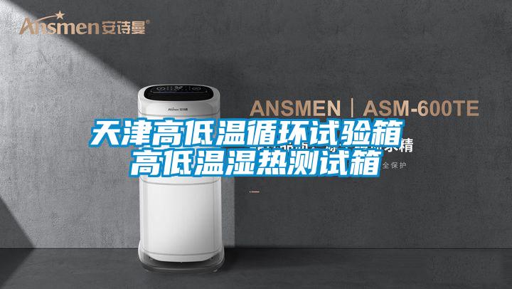 天津高低溫循環(huán)試驗(yàn)箱 高低溫濕熱測(cè)試箱