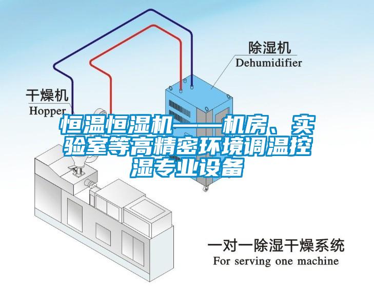 恒溫恒濕機(jī)——機(jī)房、實(shí)驗(yàn)室等高精密環(huán)境調(diào)溫控濕專業(yè)設(shè)備