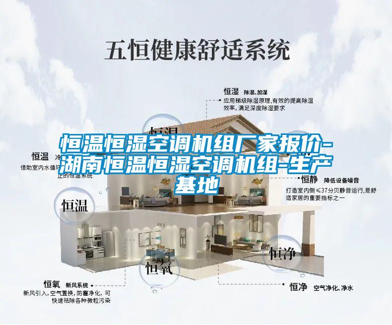 恒溫恒濕空調(diào)機(jī)組廠家報價-湖南恒溫恒濕空調(diào)機(jī)組-生產(chǎn)基地