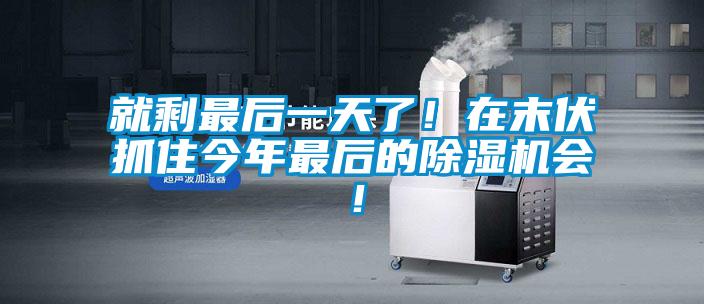 就剩最后一天了！在末伏抓住今年最后的除濕機會！