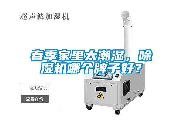 春季家里太潮濕，除濕機(jī)哪個(gè)牌子好？