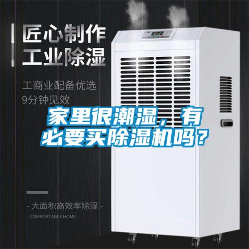家里很潮濕，有必要買除濕機嗎？