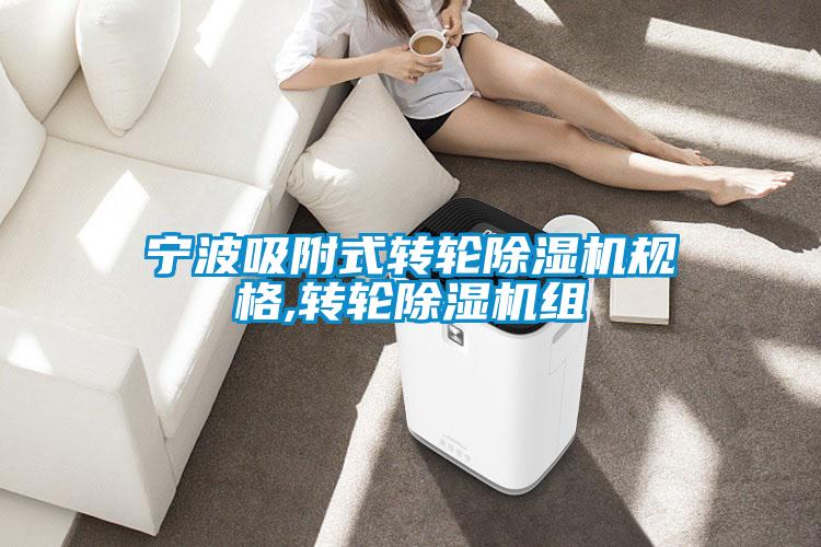 寧波吸附式轉(zhuǎn)輪除濕機規(guī)格,轉(zhuǎn)輪除濕機組