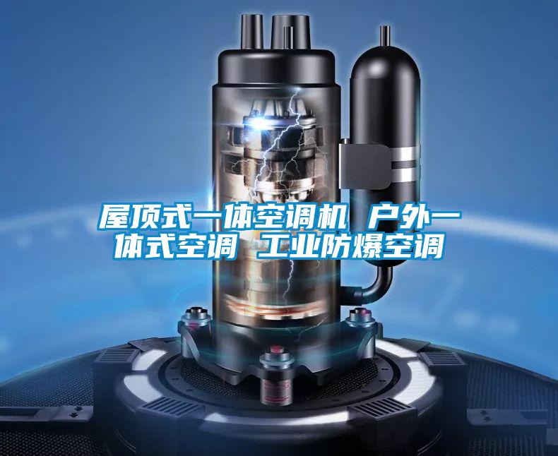 屋頂式一體空調(diào)機(jī) 戶外一體式空調(diào) 工業(yè)防爆空調(diào)