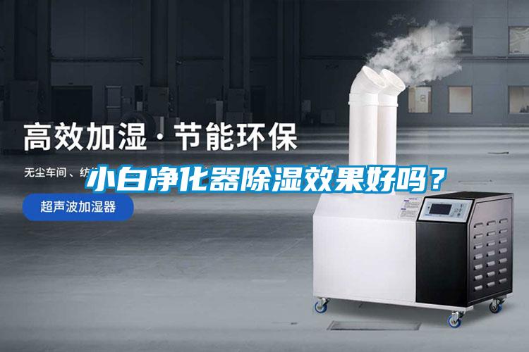 小白凈化器除濕效果好嗎？