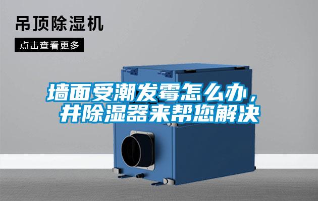墻面受潮發(fā)霉怎么辦，東井除濕器來(lái)幫您解決