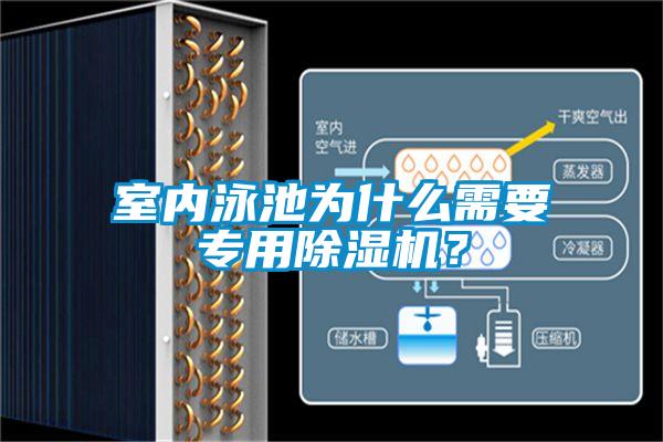 室內(nèi)泳池為什么需要專用除濕機(jī)？