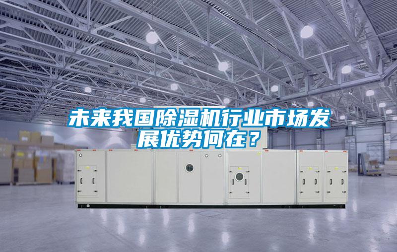未來我國除濕機(jī)行業(yè)市場(chǎng)發(fā)展優(yōu)勢(shì)何在？