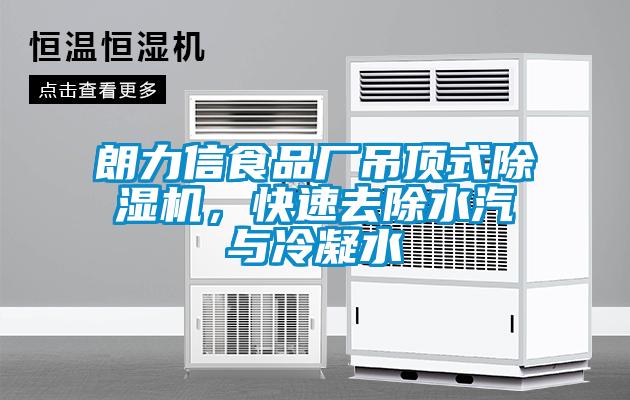 朗力信食品廠吊頂式除濕機，快速去除水汽與冷凝水
