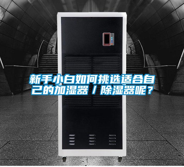 新手小白如何挑選適合自己的加濕器／除濕器呢？