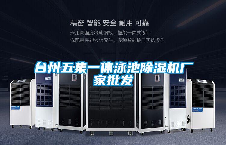 臺州五集一體泳池除濕機(jī)廠家批發(fā)