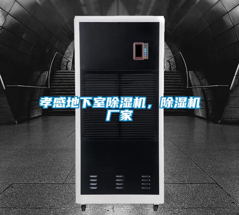 孝感地下室除濕機(jī)，除濕機(jī)廠家