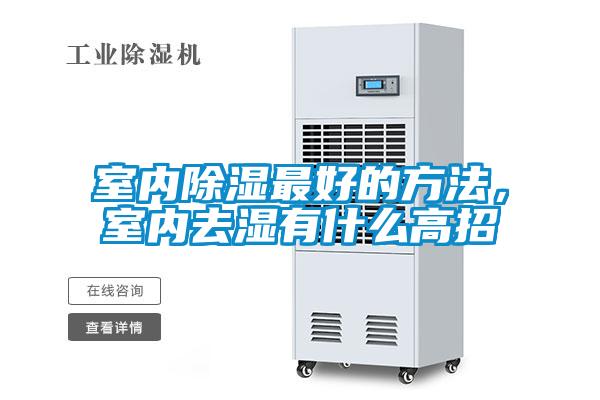 室內(nèi)除濕最好的方法，室內(nèi)去濕有什么高招