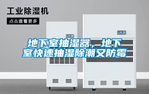 地下室抽濕器，地下室快速抽濕除潮又防霉