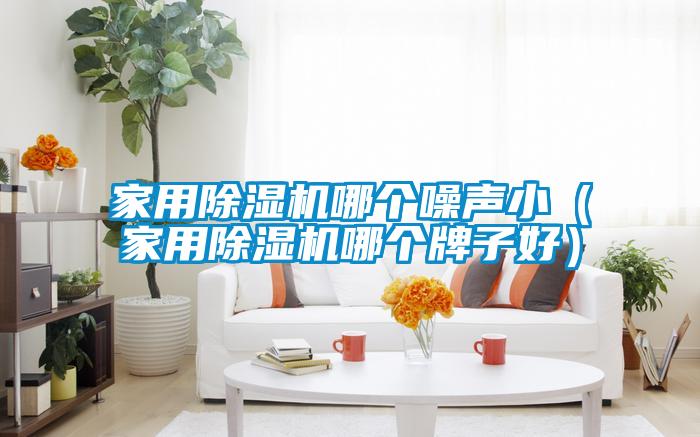 家用除濕機哪個噪聲?。矣贸凉駲C哪個牌子好）