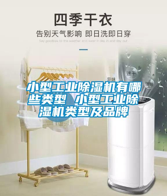 小型工業(yè)除濕機(jī)有哪些類型 小型工業(yè)除濕機(jī)類型及品牌