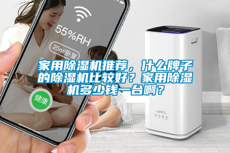 家用除濕機(jī)推薦，什么牌子的除濕機(jī)比較好？家用除濕機(jī)多少錢一臺(tái)啊？