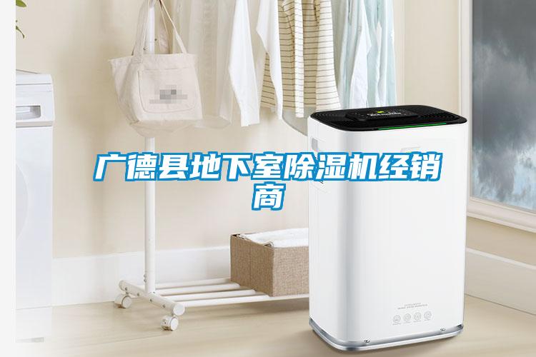 廣德縣地下室除濕機經(jīng)銷商