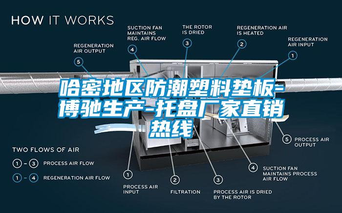 哈密地區(qū)防潮塑料墊板-博馳生產-托盤廠家直銷熱線